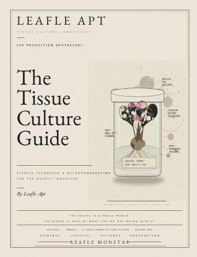Book Cover Variant Thumbnail